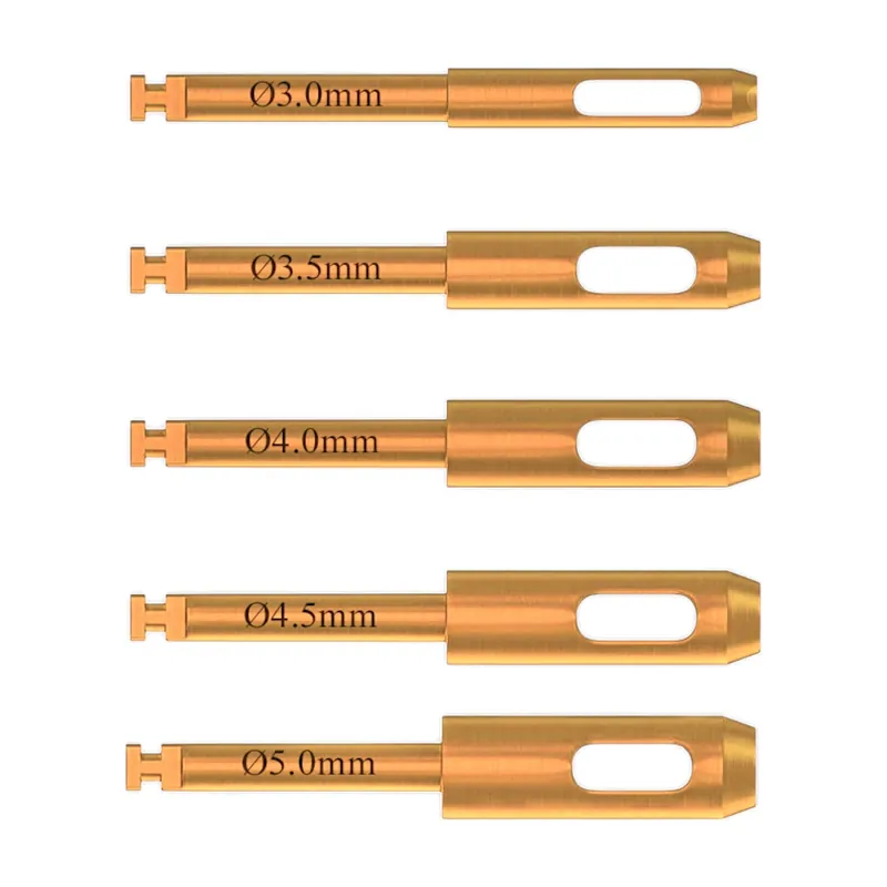 5pcs Gold Tissue Punch Set