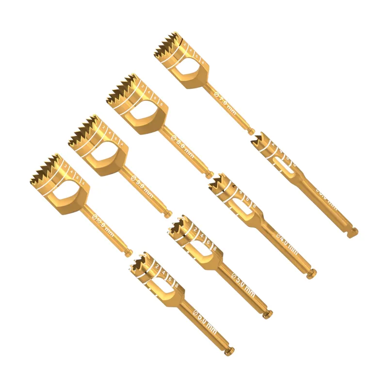 8pcs Gold Trephine Set